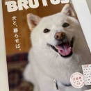 BRUTUSに掲載！