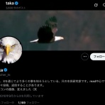 QAJFレッドピルニュース