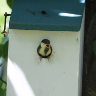 【夏の庭】新しい世界に踏み出す第一歩はいつも尊い！