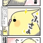 たろぴぃブログ
