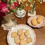 　落合桜　パリの風