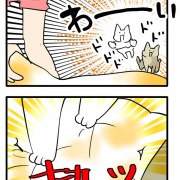 炎天下の布団干しに、猫たちが