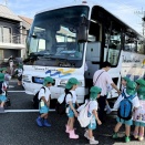 年長さん芋掘り
