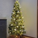 クリスマスツリーとベツレヘムの星★