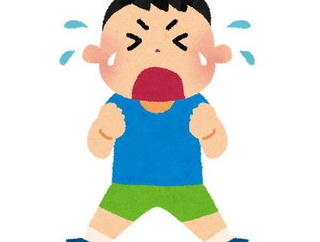 【えぇ…】義弟嫁の子が妖怪にハマってると言うので「うちにあるのをあげる」と約束し、早速昨日持って行ったのに義弟嫁はキレるし甥には泣かれた…