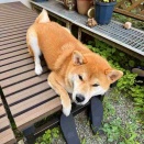 風太の日記！　8月19日
