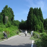 『【赤泊】集落の結束力・「道普請」』の画像