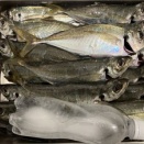 高市総理の個人的評価