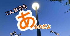 ワンオペ散歩