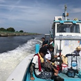 『上地さんと大阪港のシーバスの様子を見に行った話。』の画像