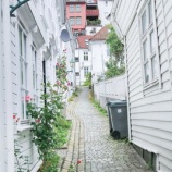 『迷子にならない様に散歩した』の画像