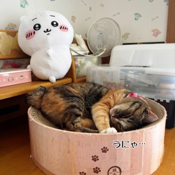 大規模模様替えによる筋肉痛