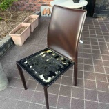 ¡ØALTACOM¡¦ERICA¥Á¥§¥¢¥á¥ó¥Æ¥Ê¥ó¥¹¡Ù¤Î²èÁü