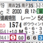 リアルデータ競馬新聞