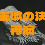 ドラクエ10盲目信者の秘密基地