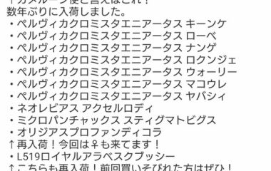 『熱帯魚入荷速報！』の画像