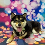 グランパ 写真館