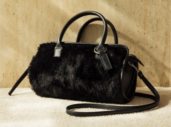 WILLFULLY 10th Anniversary Special Bag Book