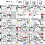 ハイブリッド競馬新聞