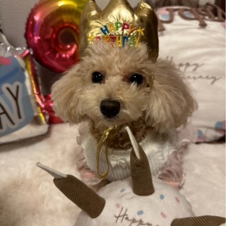 NPO法人ペット里親会