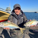 ２０２６年１月１４日（水）（若潮）