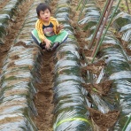 浅間やんの・Ｐｈｏｔｏ・ポケット！