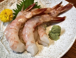 尾鷲「ガスエビ＆マンボウ」他