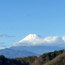 どこにいても雄大な富士山が見えた豆州だったけど、静岡を代表する納豆といえばやっぱり「自然の味そのまんま」なのかな？