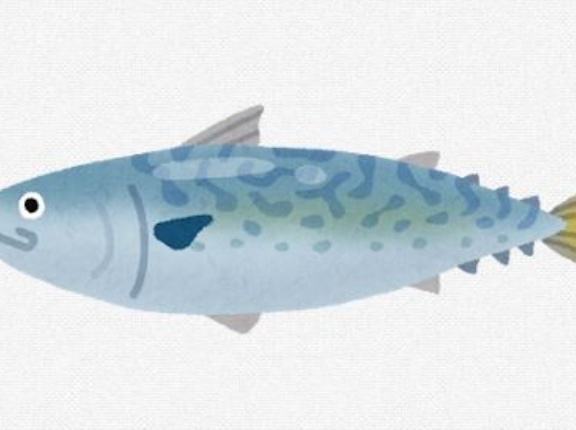結局さあ　サバが一番うまい魚なのではないか？