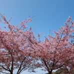 無手勝流～風の吹くままに～適当写真家 惟新斎ブログ～