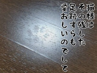 【猫との暮らし】猫様は、その残した足跡すらも、愛おしいのでして