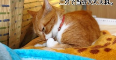 家庭内美人局被害に遭う