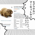 相変わらず素直に間違いを認めないフランス人夫