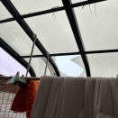 大部屋の女の子たち(テルモちゃん)