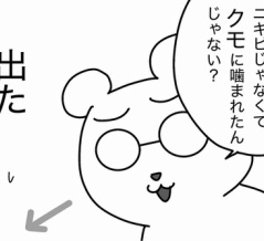 全部クモのせい？