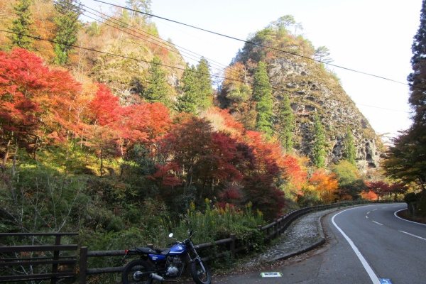 三津ヶ浜のげんたろう その2 久万 川瀬