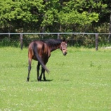 『嬉しそう』の画像