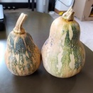 カボチャ、食べられる？
