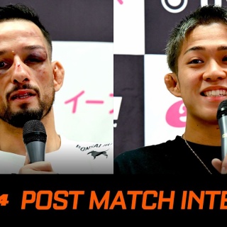 MMA The Orange