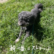 ������ʢ��Ω��