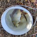 ��ʳ���Ƥ��ܳФ�ϸ���3��(��) ����������Ͽ�褷�����Ȥ򸫤Ƥ��鿲�������������ٹ�(>_<)