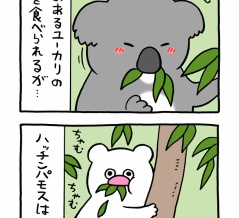 絶滅寸前の動物ハッチンパモス「ユーカリの葉」