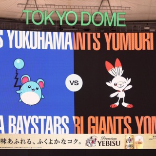 横浜ベイスターズ、推しポケモンをマリルにしてしまう