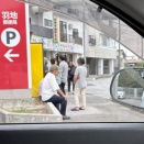 ヤンバルの行列