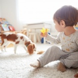 『子どもとペット ~子どものためにペットを飼う~』の画像