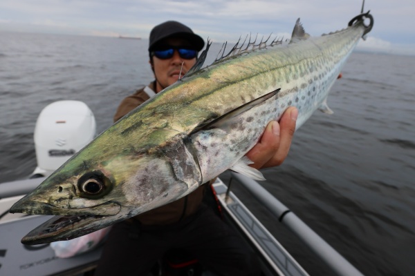TOKYOBAY FISHING GUIDE SERVICE Glory(グローリーフィッシング)