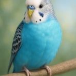 北野小キッズブログ