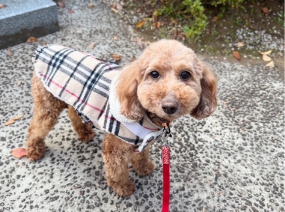 幸せになったミディアムちゃん🩷🙏🩷