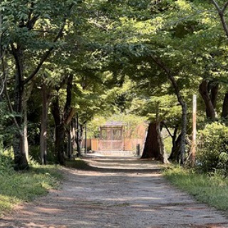 長谷川先生とちーすけのブログ
