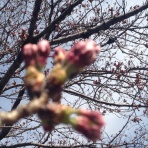 Salon de benedictionのspicy＆sweet life(旧・いいいね いぃてぃすと)